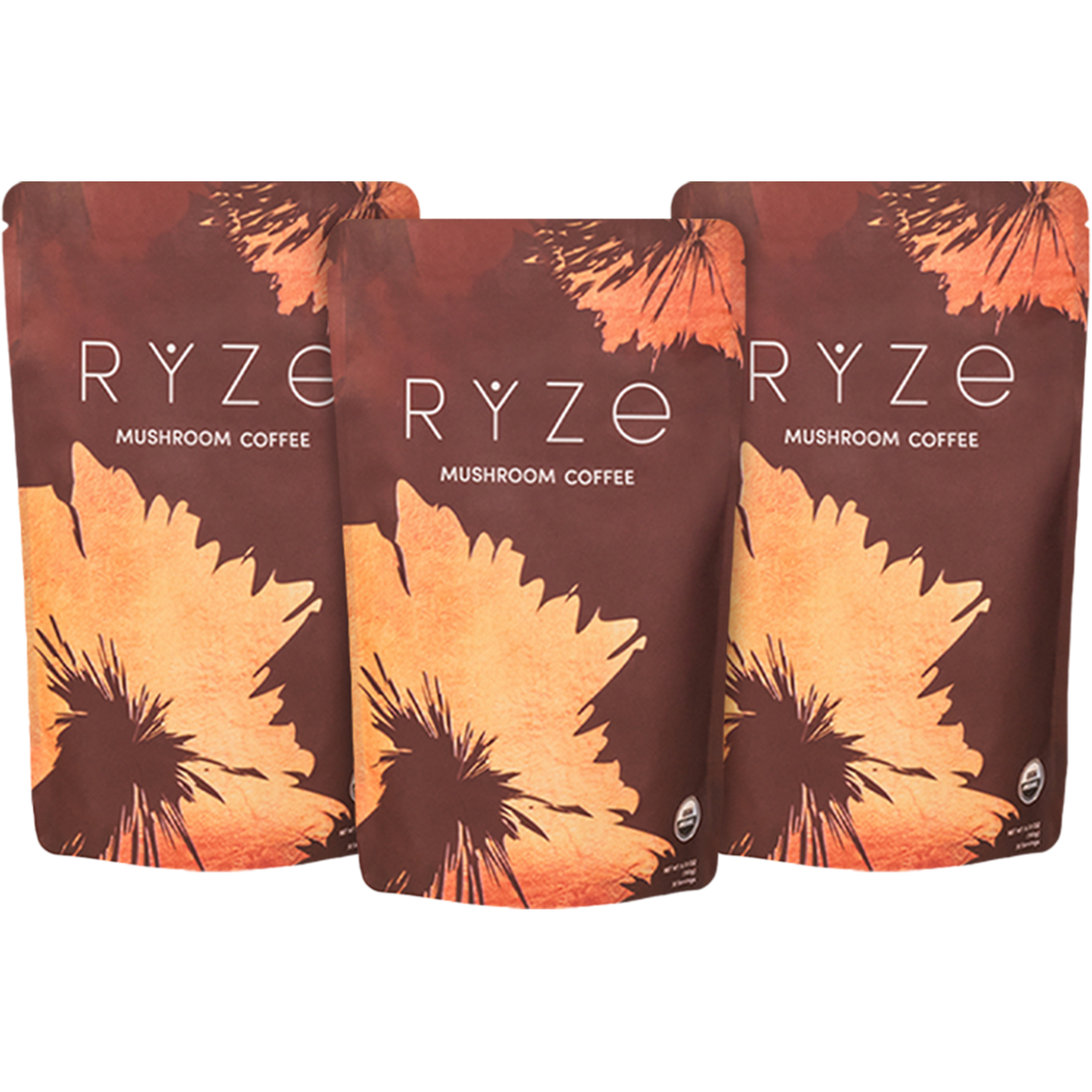 Mushroom Coffee (3 Month Upgrade)