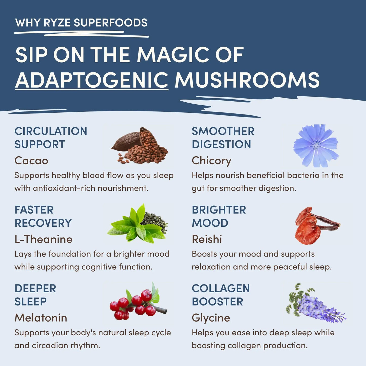 RYZE Ritual Set: Cocoa + Coffee